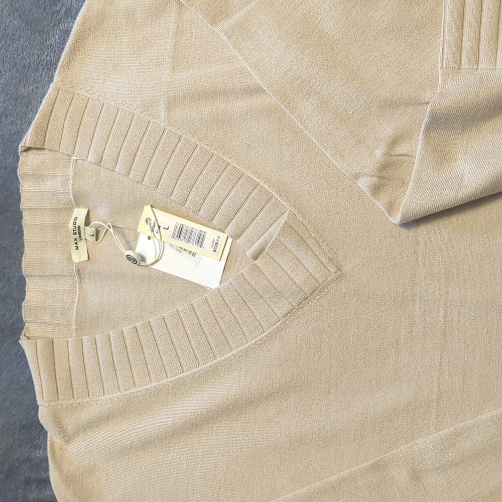 Max Studio Sweater